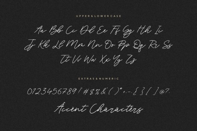 Blackswan Monoline Signature Font Poster 6