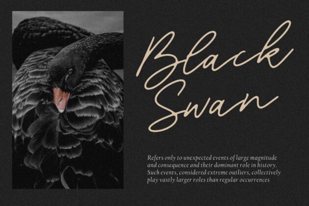 Blackswan Monoline Signature Font Poster 7
