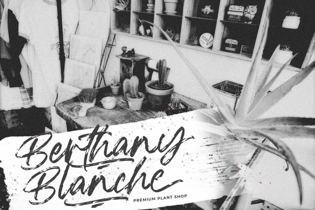 Blackwell - Textured Brush Font Poster 2