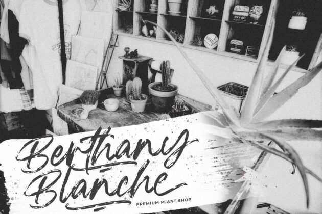 Blackwell - Textured Brush Font Poster 2