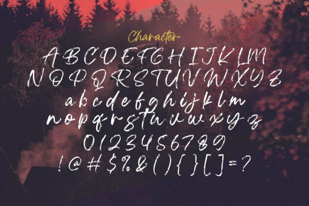 Blackwell - Textured Brush Font Poster 8