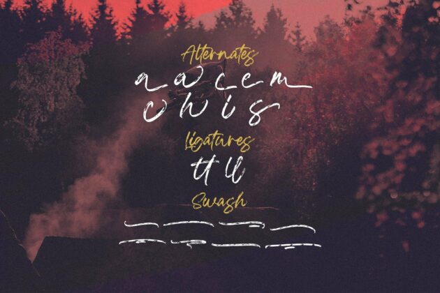 Blackwell - Textured Brush Font Poster 10