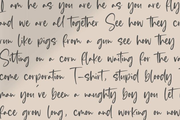 Blankside Modern Calligraphy Font Poster 7