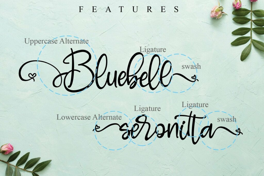 Bluebell Poster 4