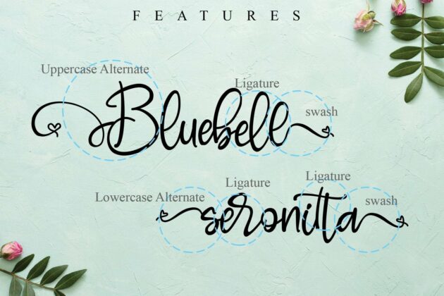 Bluebell Poster 4