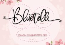 Bluettelli Poster 1