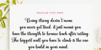 Bodaholic Script Font Poster 1