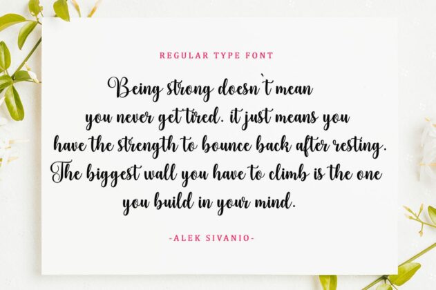 Bodaholic Script Font Poster 1