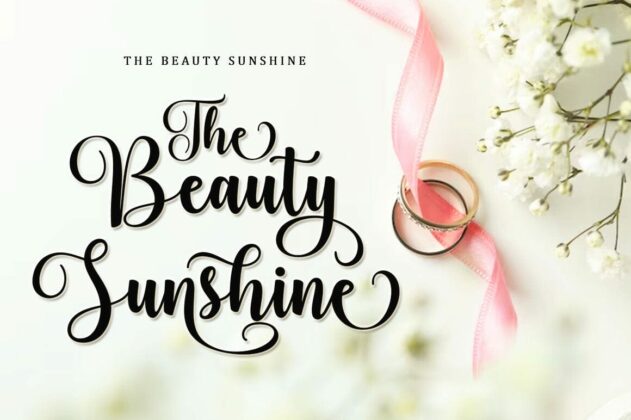 Bodaholic Script Font Poster 3