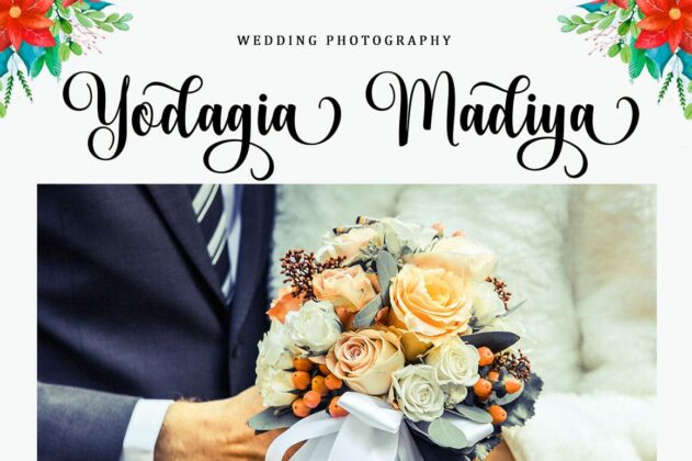 Bodaholic Script Font Poster 4