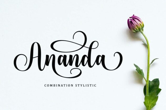 Bodaholic Script Font Poster 5