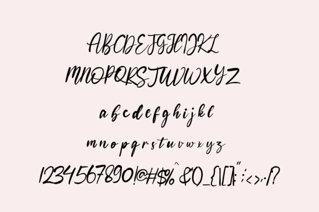 Bohemian Script Font Poster 3