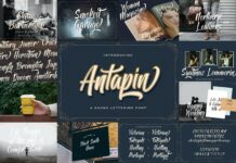 Bold Script Font Bundle Vol 1 Poster 1