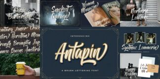 Bold Script Font Bundle Vol 1 Poster 1