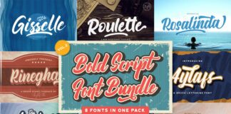 Bold Script Font Bundle Vol 2 Poster 1