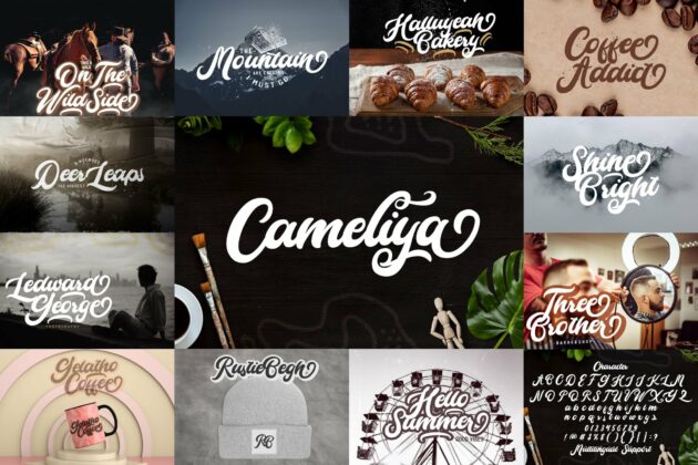 Bold Script Font Bundle Vol 3 Poster 7