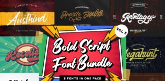 Bold Script Font Bundle Vol 5 Poster 1