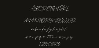 Bolderis Signature Font Poster 1