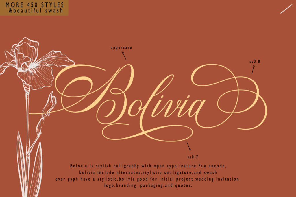 Bolivia Script Poster 8