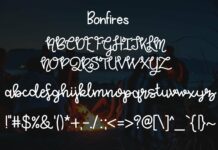 Bonfires and Beaches Font Duo Poster 1