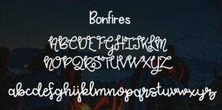 Bonfires and Beaches Font Duo Poster 1