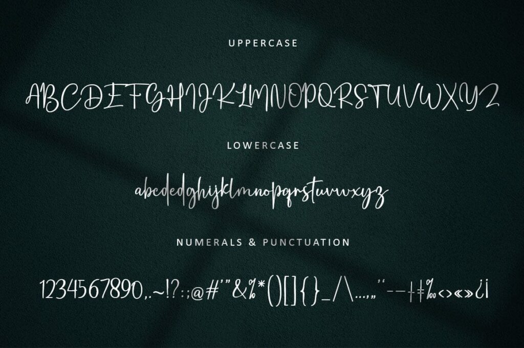 Bosthany Signature Poster 7