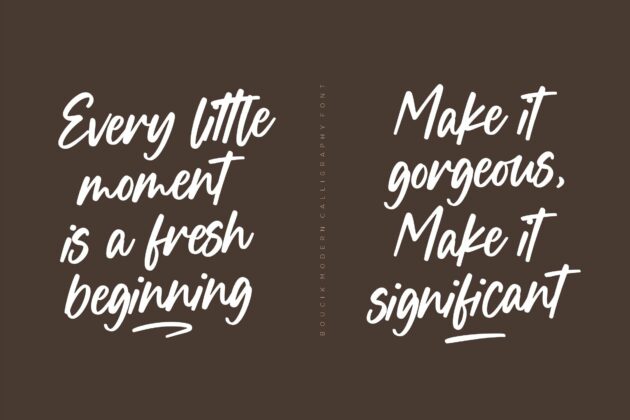 Boucik Modern Calligraphy Font Poster 3
