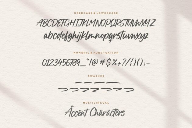 Boucik Modern Calligraphy Font Poster 6