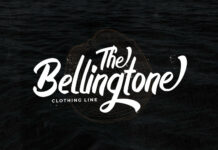 Boyna - Bold Script Font Poster 1