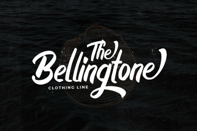Boyna - Bold Script Font Poster 1