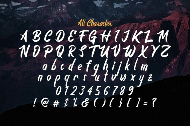 Boyna - Bold Script Font Poster 5