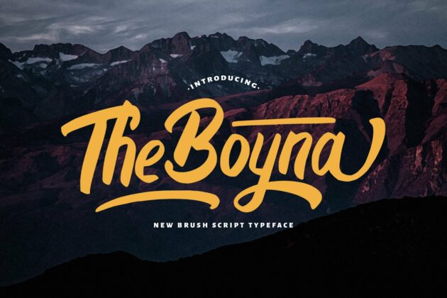 Boyna - Bold Script Font Poster 7