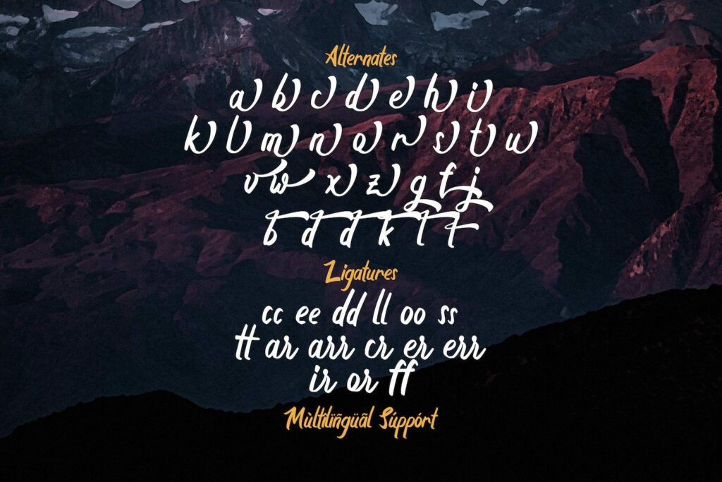 Boyna - Bold Script Font Poster 9