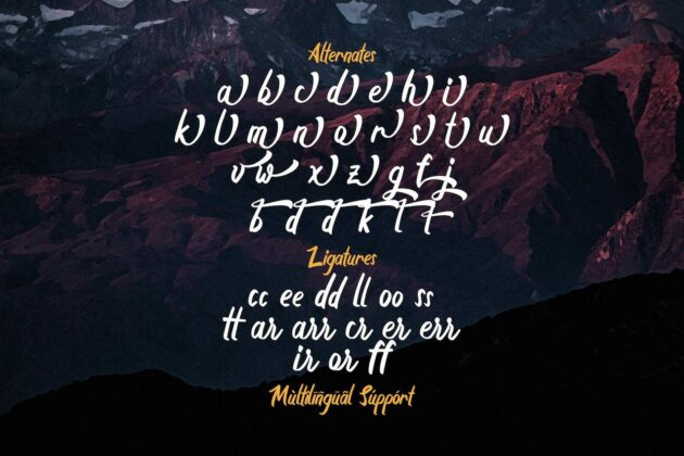 Boyna - Bold Script Font Poster 9