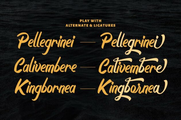 Boyna - Bold Script Font Poster 10