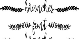 Branches Font Poster 1