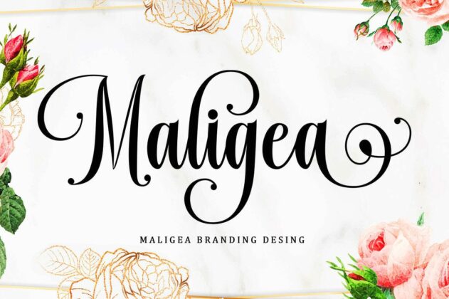 Brilliant Simple Script Font Poster 3