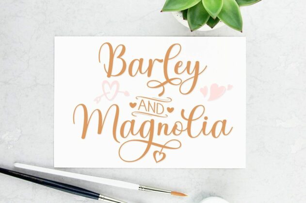 Brilliant Soulmates Font Duo Plus Extras Poster 6