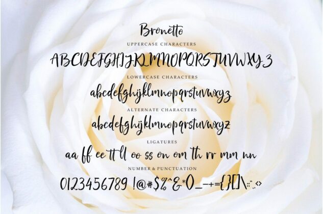 Bronetto Script Poster 6