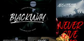 Brush Textured Font Bundle Vol. 4 Poster 1