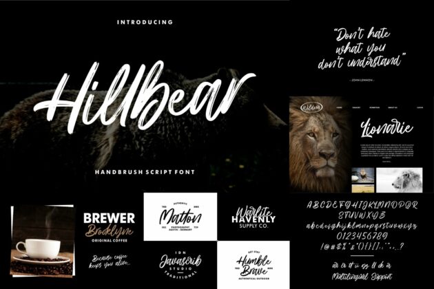 Brush Textured Font Bundle Vol. 4 Poster 4