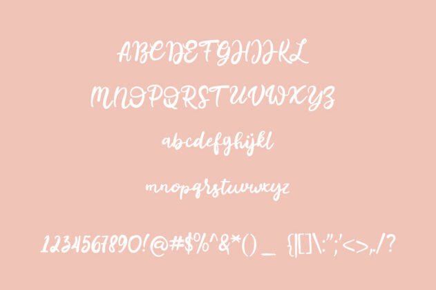 Bugetta - Calligraphy Font Poster 3