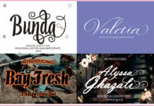 Bundle Calligraphy Bundle Calligraphy Poster 1