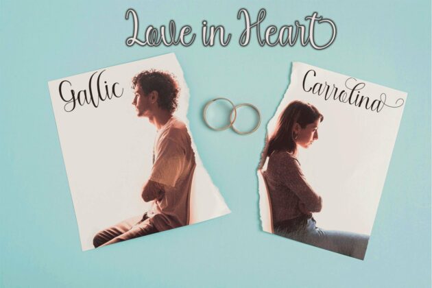 Butterflay Poster 5
