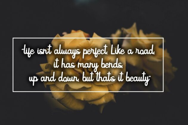Butterfly Monoline Script Font Poster 5