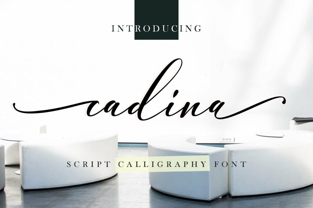 cadina script calligraphy Poster 5