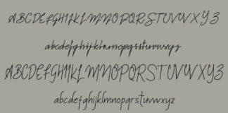 California beach font duo Poster 1
