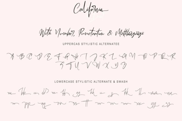 CALIFORNIA STREET (10 STYLES IN 1 TYPEFACE) Poster 7