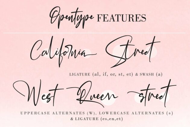 CALIFORNIA STREET (10 STYLES IN 1 TYPEFACE) Poster 14