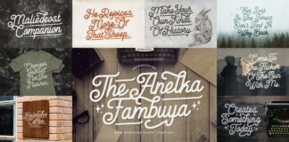 Calligraphy Font Bundle Vol 1 Poster 1